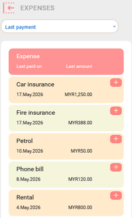 Last Payment Mobile View