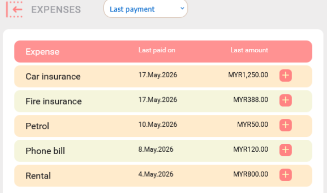 Last Payment View